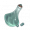 Item5419.png