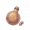 真阳丹.png
